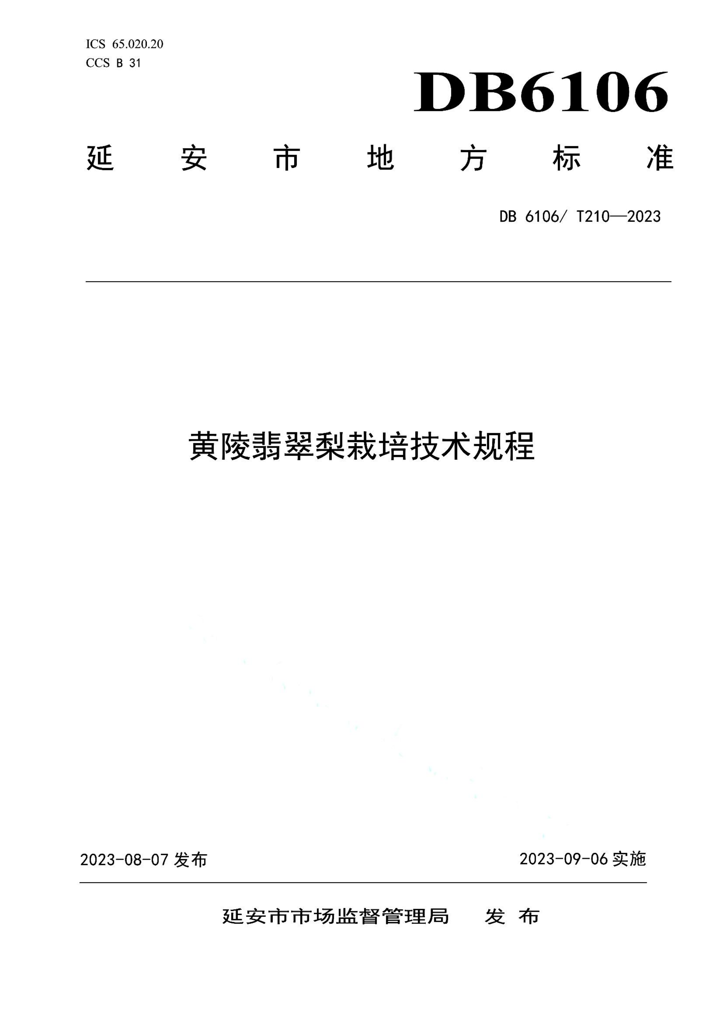 资源详情图
